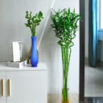bambù artificiale in un vaso