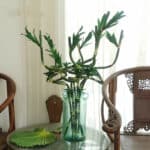 Bambù artificiale in un vaso su un tavolo