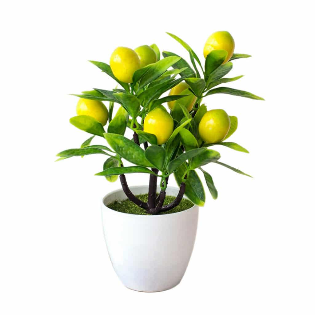 Albero di limone artificiale in vaso bianco.