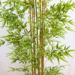 rami di bambù artificiali