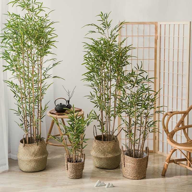 Bambù artificiali in vasi di vimini. Dietro, sulla parete bianca, si vede una cornice.