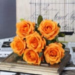 Bouquet di sei rose arancioni posizionato su un libro su un tavolo dietro uno sfondo grigio.