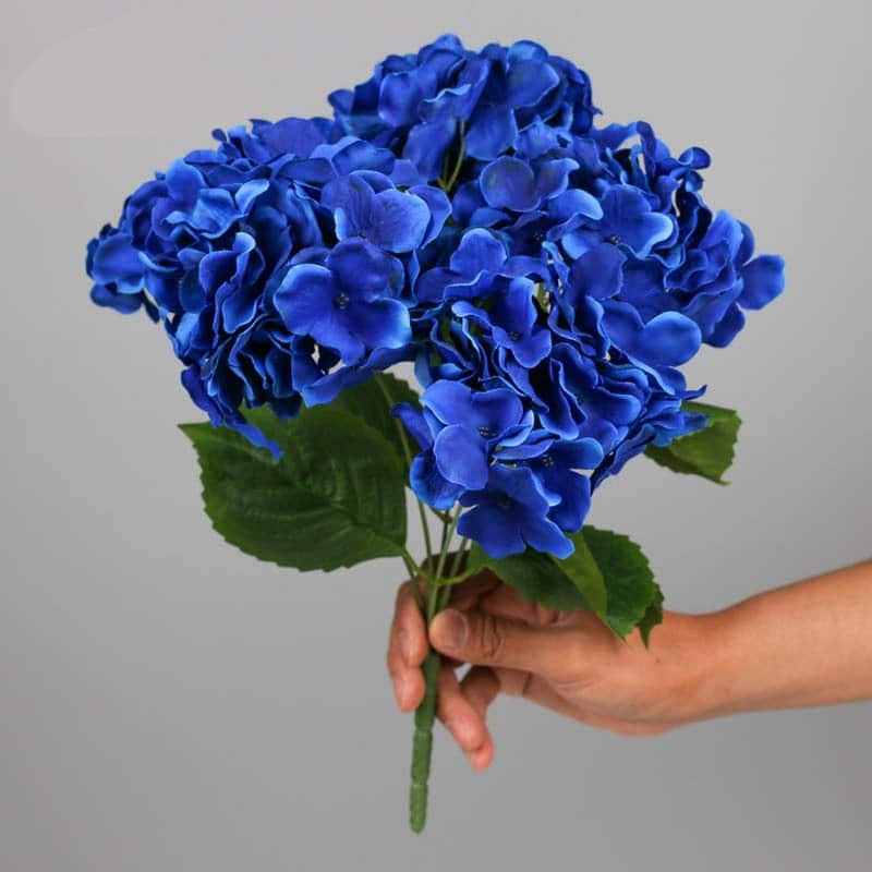 Mano che tiene un bouquet di fiori blu su sfondo grigio.