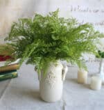 Bouquet di felci artificiali in un vaso bianco