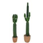 Foto di 2 cactus artificiali di diverse dimensioni in un vaso di terra con sfondo bianco