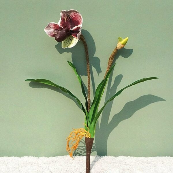 Vediamo un fiore di orchidea su uno sfondo verde. È un fiore viola molto bello.