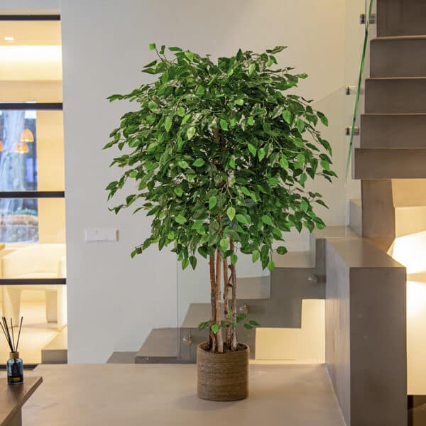Grande Ficus artificiale con foglie verdi realistiche nel suo vaso marrone.