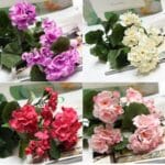 Immagini in 4 parti con bouquet di gerani artificiali viola, bianco, rosso e rosa