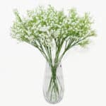 Bouquet di fiori di gypsophila bianchi in un vaso di vetro bianco su uno sfondo di panchina