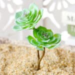 Mini pianta di grasso artificiale a doppio stelo