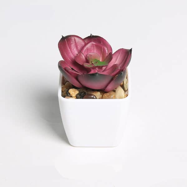Succulente artificiali rosso-viola in un vaso