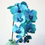 Orchidea artificiale blu