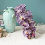 Grande orchidea viola