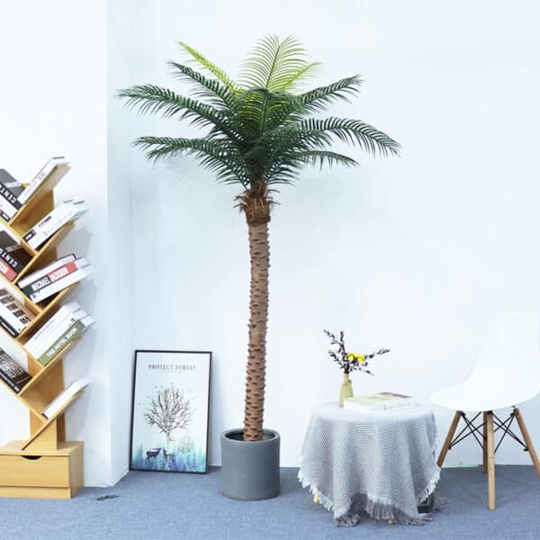 Una palma in vaso, in una stanza con tavolo, cornice, sgabello e libreria.