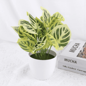 Foto di una pianta di Calathea artificiale in un vaso bianco accanto a un libro.