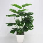 Foto di una pianta artificiale di foglie di tartaruga in un vaso bianco.