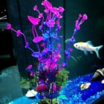 Pianta d'acquario artificiale viola in acqua con un pesce sullo sfondo.