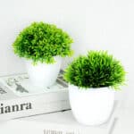 Due piccoli vasi di piante artificiali verdi, uno su un tavolo, l'altro su un libro