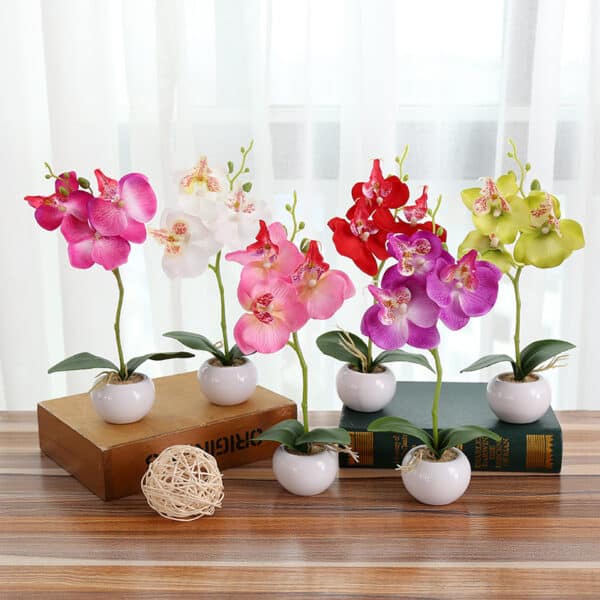 6 piccole piante colorate artfiicelles collocate su un libro o un tronco di legno o su un tavolo di legno