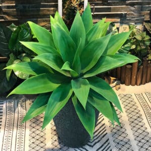 Foto di una pianta di agave artificiale in un vaso grigio scuro