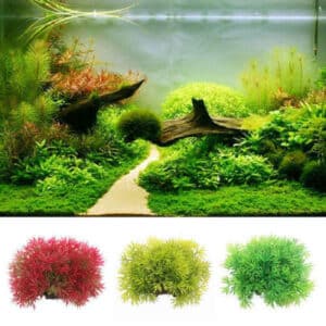 Acquario con vegetazione artificiale nella parte superiore dell'immagine. In basso, si possono vedere le tre variazioni di colore su uno sfondo bianco.