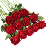 Le rose rosse con i loro steli e le loro foglie sono posizionate su uno sfondo bianco.